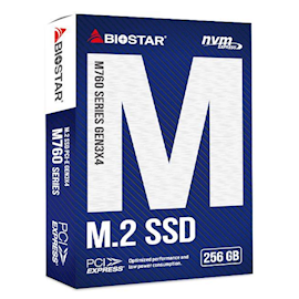 მყარი დისკი Biostar M760-256GB, 256GB, Hard Drive